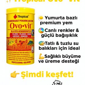 Tropical Ovo-Vit 250ml 50gr