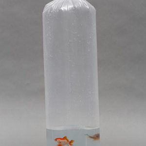 Balık Transfer Poşeti 23x75cm – Güvenli Balık Taşıma ve Nakliye Poşeti