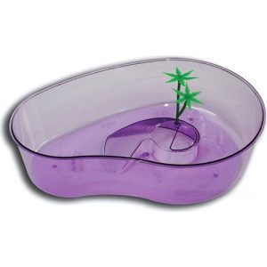 Kaplumbağa Bahçesi Palmiyeli – Mini Kuru Alan & Dinlenme Adası