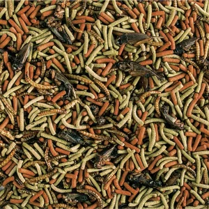 Alternative view of Tropical Reptiles Carnivore 1000ml (260gr) – Etobur Sürüngen ve Kaplumbağalar İçin Yüksek Proteinli Yem