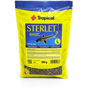 Tropical Sterlet Basic Size L 500 gr Dip Yemi