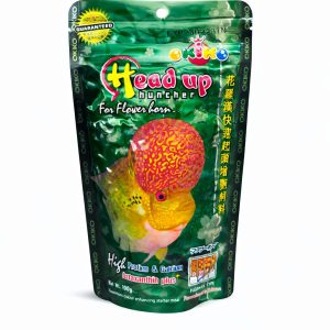 Okiko Head Up Hunter 100gr