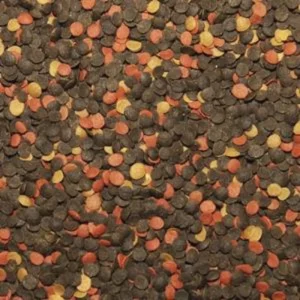 Alternative view of Tropical Malawi Chips 250ml (130gr) – Malawi Cikletleri İçin Bitkisel & Spirulina İçerikli Yem