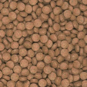Alternative view of Tropical Supervit B Tablet 100 Adet – %48 Proteinli Beta Glucan İçerikli Dibe Batan Balık Yemi (Kovadan Bölme)