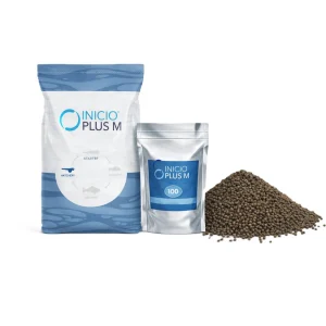 Larviva Inicioplus 1.1 100gr – Oranda & Ranchu Goldfish Kafa (Wen) Gelişim ve Kondisyon Yemi