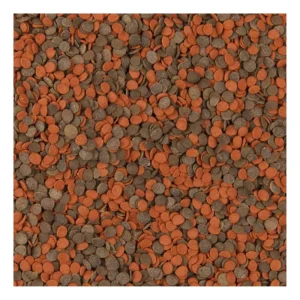 Alternative view of Tropical Cichlid Chips 250ml 130gr Cikletler İçin Renklendirici Yem