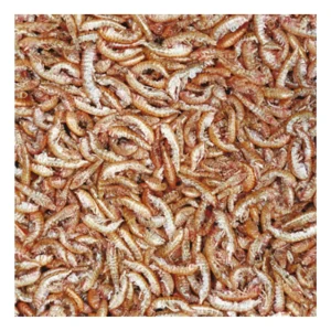 Alternative view of Tropical Gammarus 1000ml (120gr) – %100 Doğal Kurutulmuş Karides Balık ve Kaplumbağa Yemi