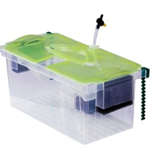 Biolife FX5-S Filtreli Yavruluk – Güvenli Yavru Büyütme ve İzolasyon Kutusu