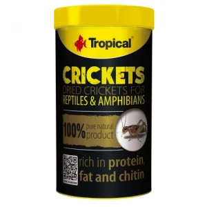 Tropical Crickets 250ml (25gr) – Yüksek Proteinli Kurutulmuş Cırcır Böceği Balık ve Sürüngen Yemi