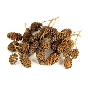 Kızılağaç Kozalağı 100 Adet – Doğal Su Düzenleyici & Karides – Vatoz Destek Yemi