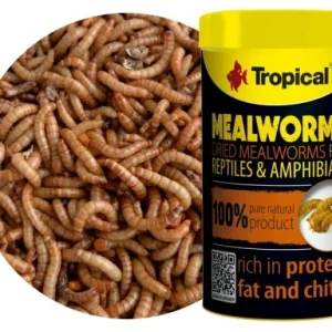 Tropical MealWorms 250ml (30gr) – %100 Doğal Kurutulmuş Un Kurdu Balık ve Sürüngen Yemi