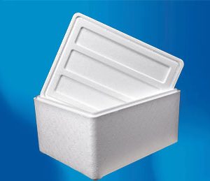 Isı Yalıtımlı Strafor Kutu – Dondurulmuş Ürün ve Canlı Sevkiyatı İçin Termal Koruma Kutusu