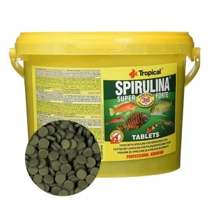 Tropical Spirulina Süper Forte Cama Yapışan Tablet 100 Adet – %36 Saf Spirulina İçerikli Bitkisel Tablet Yem (Kovadan Bölme)