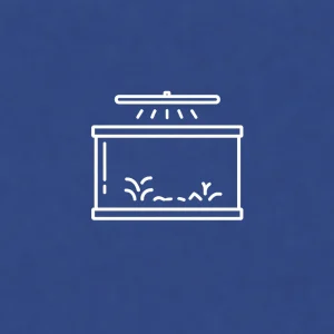 Akvaryum Aydınlatmaları