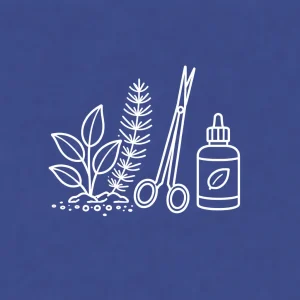 Bitki ve Bitki Ekipmanları