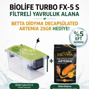 Biolife FX5-S Filtreli Yavruluk – Betta Didyma Decapsülated Artemia 25gr Hediyeli